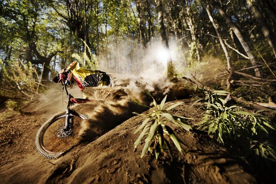 Districtstrainingen Mountainbike regio Noord (Nieuwelingen/Junioren)