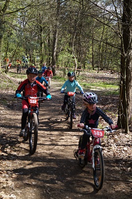 dikke banden cat.klein